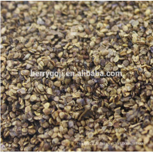 Raw Wild Black Goji seeds pour la plantation Organic Goji Berry seeds